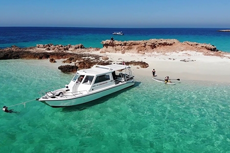 Dimaniyat Island Trip With Transfer ( Al-mouj Marina )